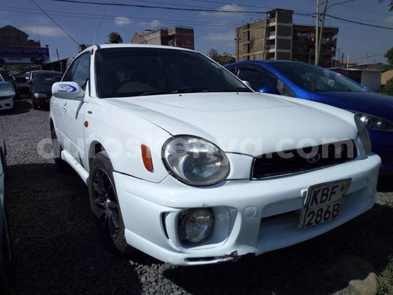 Big with watermark 55845493 2351644491781020 221090158890450944 n