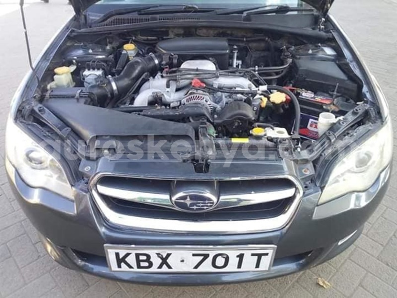 Big with watermark 56252831 2351650885113714 5267825711221047296 n