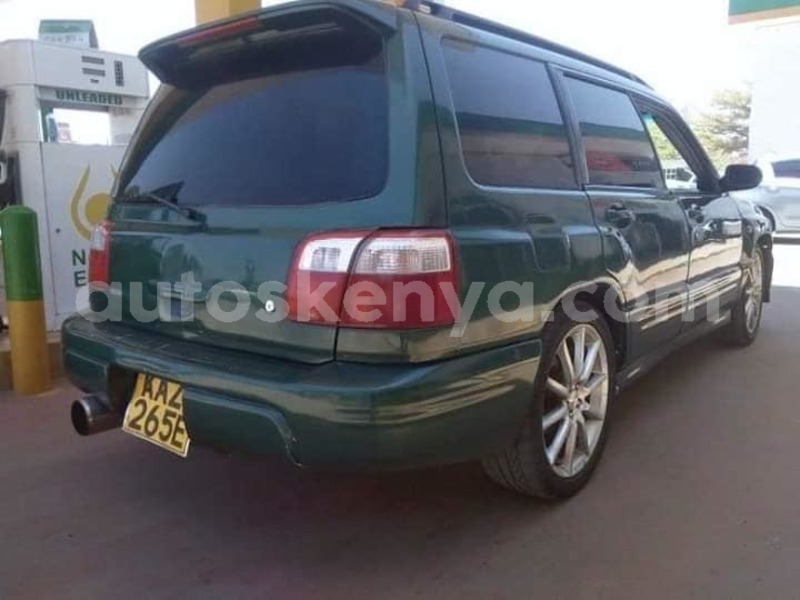 Big with watermark 56544637 2351661158446020 7163610136643108864 n