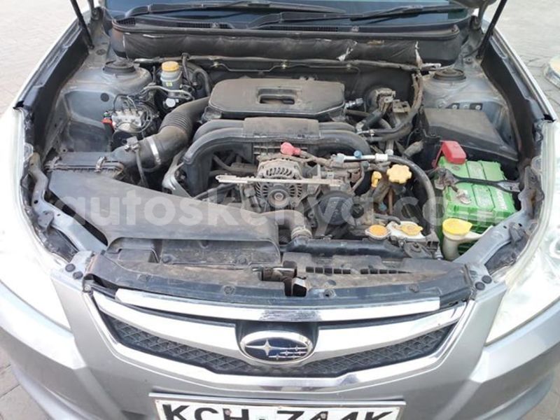 Big with watermark 54255886 2341794059432730 3589061684003602432 n