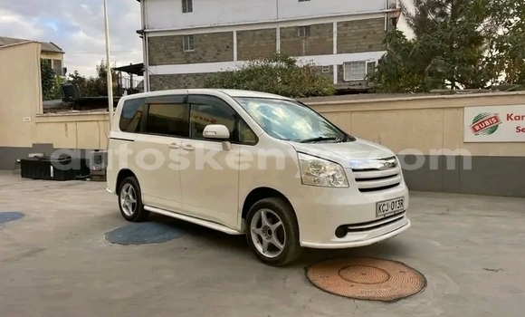Oofamaa Toyota Noah White Makiinaa iti Bute keessatti Northeast Kenya keessatti Oofamaa Toyota Noah White Makiinaa iti Bute keessatti Northeast Kenya keessatti