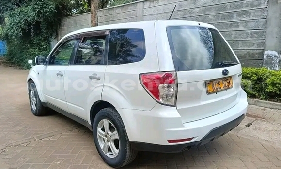 Nunua Ilio tumika Subaru Forester Nyeupe Gari ndani ya Bute nchini Kaskazini Mashariki mwa Kenya