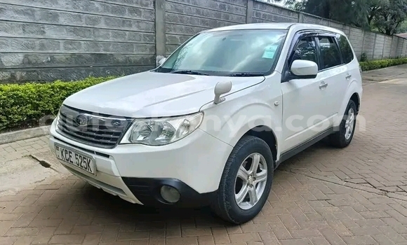 Oofamaa Subaru Forester White Makiinaa iti Bute keessatti Northeast Kenya keessatti Oofamaa Subaru Forester White Makiinaa iti Bute keessatti Northeast Kenya keessatti