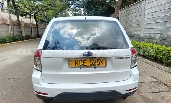 Oofamaa Subaru Forester White Makiinaa iti Bute keessatti Northeast Kenya keessatti Oofamaa Subaru Forester White Makiinaa iti Bute keessatti Northeast Kenya keessatti