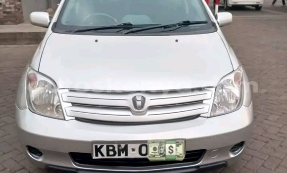 Oofamaa Toyota IST Other Makiinaa iti Busia keessatti West Kenya keessatti Oofamaa Toyota IST Other Makiinaa iti Busia keessatti West Kenya keessatti