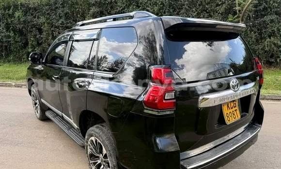 Oofamaa Toyota Prado Black Makiinaa iti Bute keessatti Northeast Kenya keessatti Oofamaa Toyota Prado Black Makiinaa iti Bute keessatti Northeast Kenya keessatti
