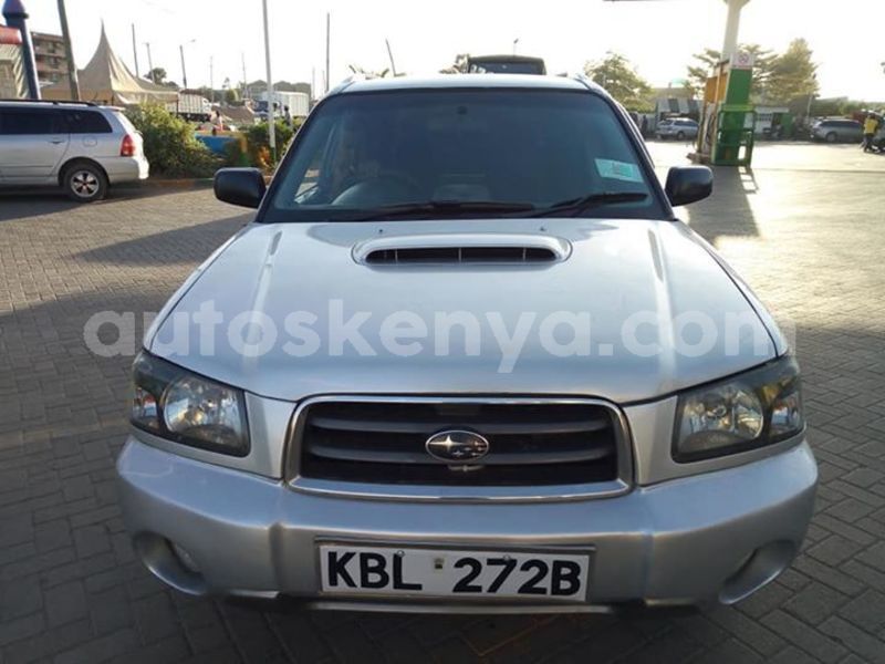 Big with watermark 53906794 2341802372765232 4083910842137968640 n