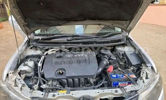 Oofamaa Toyota Allion Other Makiinaa iti Bute keessatti Northeast Kenya keessatti