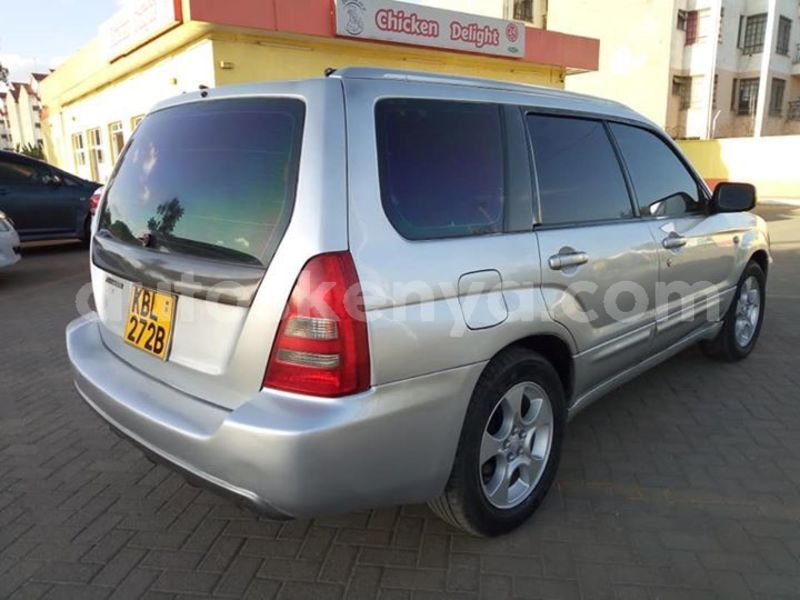 Big with watermark 54520936 2341802869431849 589532322060042240 n