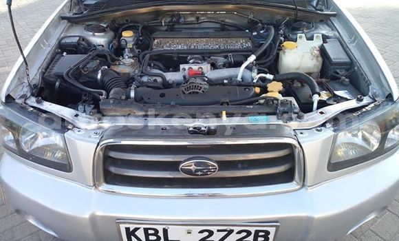 Nunua Ilio tumika Subaru Forester Fedha Gari ndani ya Nairobi nchini Nairobi Nunua Ilio tumika Subaru Forester Fedha Gari ndani ya Nairobi nchini Nairobi