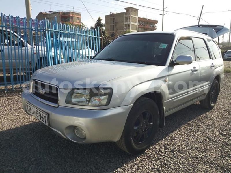 Big with watermark 53285583 2338960823049387 1192733201445945344 n