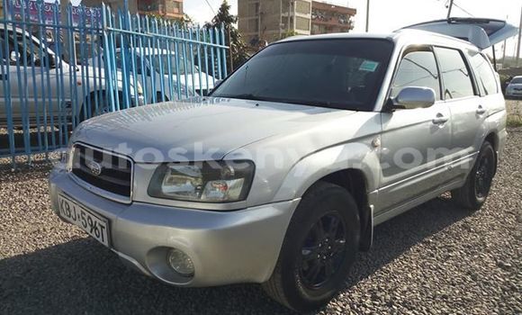 Nunua Ilio tumika Subaru Forester Fedha Gari ndani ya Nairobi nchini Nairobi Nunua Ilio tumika Subaru Forester Fedha Gari ndani ya Nairobi nchini Nairobi