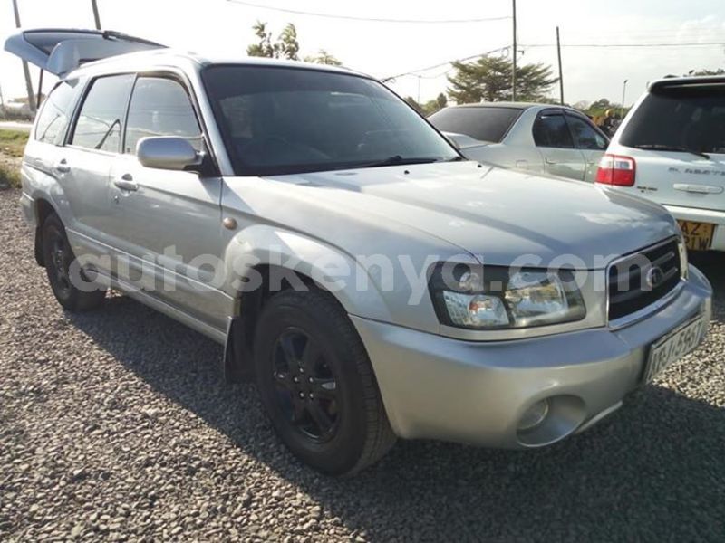 Big with watermark 53602065 2338960806382722 1729154662298288128 n