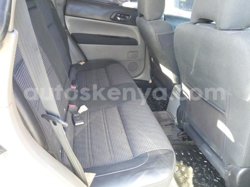 Big with watermark 53833657 2338960909716045 5823797532492300288 n