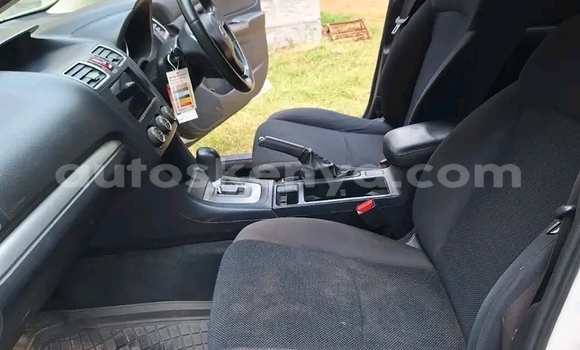 Buy Used Subaru Impreza White Car in Bute in Northeast Kenya Buy Used Subaru Impreza White Car in Bute in Northeast Kenya