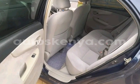 Buy Used Toyota Axio Other Car in Bute in Northeast Kenya Buy Used Toyota Axio Other Car in Bute in Northeast Kenya