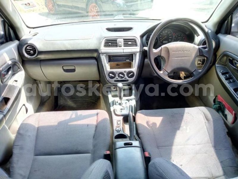 Big with watermark 53560111 2335906073354862 6746761802261987328 n