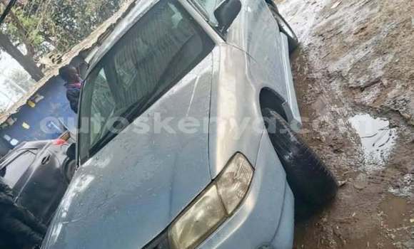 Oofamaa Nissan Wingroad Other Makiinaa iti Nairobi keessatti Nairobi keessatti Oofamaa Nissan Wingroad Other Makiinaa iti Nairobi keessatti Nairobi keessatti