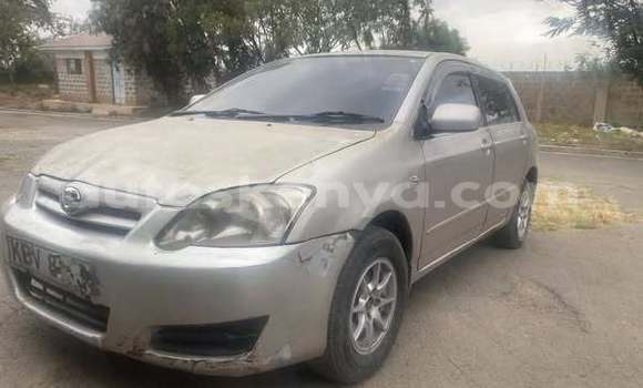 Oofamaa Toyota Runx Other Makiinaa iti Nairobi keessatti Nairobi keessatti Oofamaa Toyota Runx Other Makiinaa iti Nairobi keessatti Nairobi keessatti