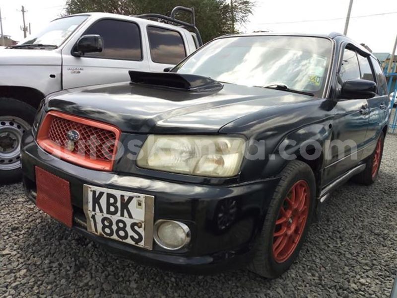 Big with watermark 53121624 2334194316859371 5129019274521739264 n