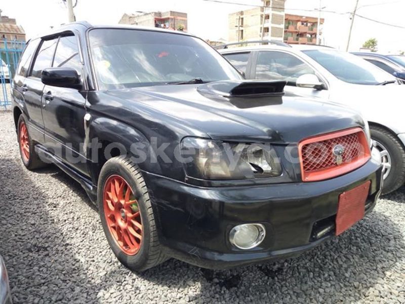 Big with watermark 52829694 2334194450192691 2156870586788216832 n