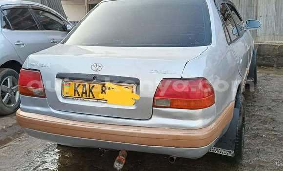Oofamaa Toyota 4Runner Other Makiinaa iti Nairobi keessatti Nairobi keessatti Oofamaa Toyota 4Runner Other Makiinaa iti Nairobi keessatti Nairobi keessatti