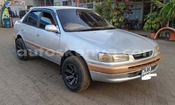 Oofamaa Toyota 4Runner Other Makiinaa iti Nairobi keessatti Nairobi keessatti Oofamaa Toyota 4Runner Other Makiinaa iti Nairobi keessatti Nairobi keessatti