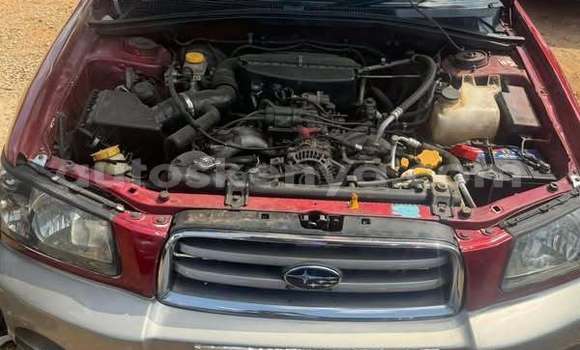 Oofamaa Subaru Stella Other Makiinaa iti Nairobi keessatti Nairobi keessatti Oofamaa Subaru Stella Other Makiinaa iti Nairobi keessatti Nairobi keessatti