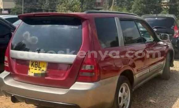 Oofamaa Subaru Stella Other Makiinaa iti Nairobi keessatti Nairobi keessatti Oofamaa Subaru Stella Other Makiinaa iti Nairobi keessatti Nairobi keessatti