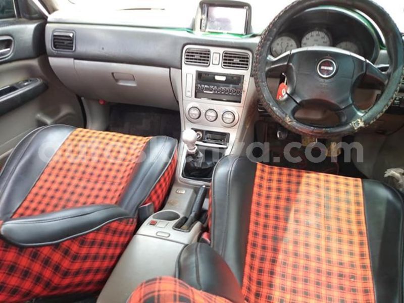 Big with watermark 53478416 2334199886858814 4096909088212910080 n