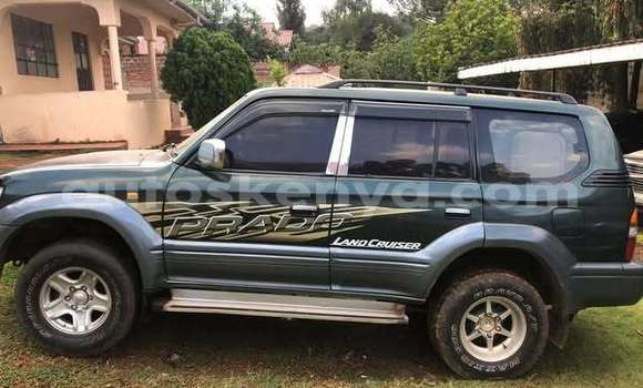 Oofamaa Toyota Camry (Japan) Other Makiinaa iti Nairobi keessatti Nairobi keessatti Oofamaa Toyota Camry (Japan) Other Makiinaa iti Nairobi keessatti Nairobi keessatti