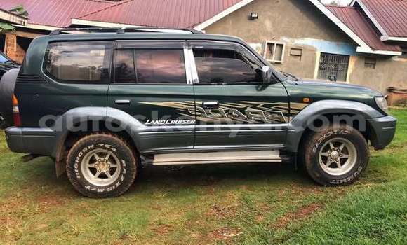 Oofamaa Toyota Camry (Japan) Other Makiinaa iti Nairobi keessatti Nairobi keessatti Oofamaa Toyota Camry (Japan) Other Makiinaa iti Nairobi keessatti Nairobi keessatti