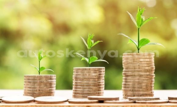 Oofamaa Alpina B11 Black Makiinaa iti Busia keessatti West Kenya keessatti