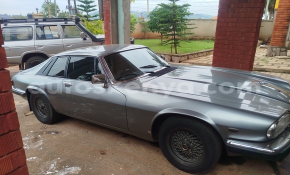 Oofamaa Jaguar XJS Beige Makiinaa iti Nairobi keessatti Nairobi keessatti