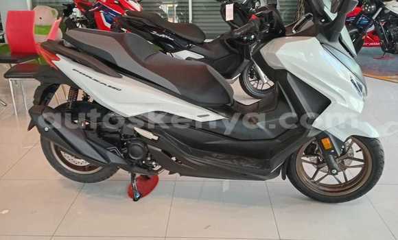 Nunua Imported Honda Forza Fedha Bike ndani ya Machakos nchini Mashariki ya Kenya Nunua Imported Honda Forza Fedha Bike ndani ya Machakos nchini Mashariki ya Kenya