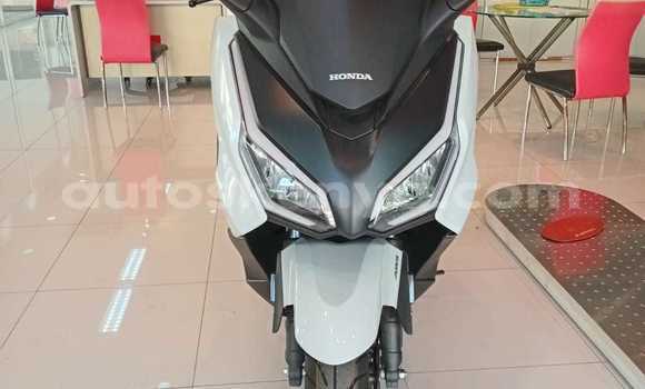 Nunua Imported Honda Forza Fedha Bike ndani ya Machakos nchini Mashariki ya Kenya Nunua Imported Honda Forza Fedha Bike ndani ya Machakos nchini Mashariki ya Kenya