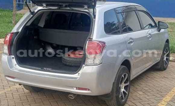 Buy Used Toyota Fielder Silver Car in Kiambu in Central Kenya Buy Used Toyota Fielder Silver Car in Kiambu in Central Kenya