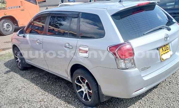 Buy Used Toyota Fielder Silver Car in Kiambu in Central Kenya Buy Used Toyota Fielder Silver Car in Kiambu in Central Kenya