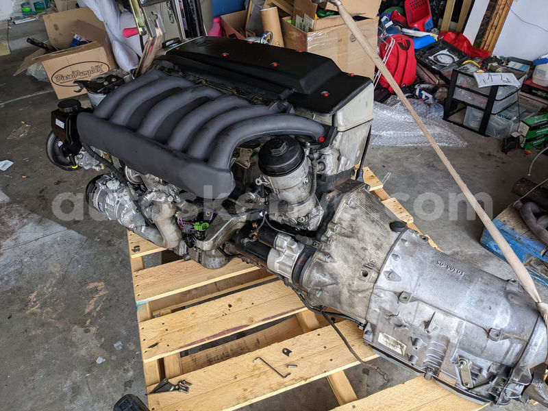 Big with watermark d