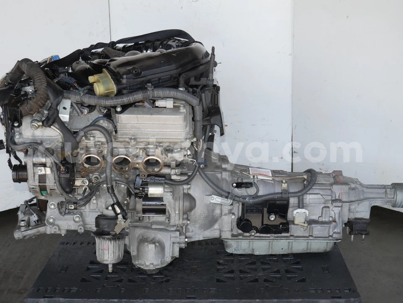 Big with watermark image c