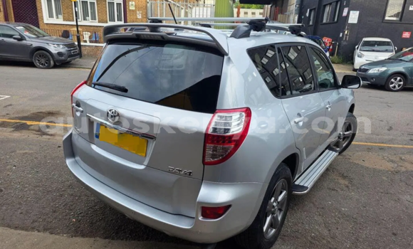 Buy Used Toyota RAV4 Silver Car in Nairobi in Nairobi Buy Used Toyota RAV4 Silver Car in Nairobi in Nairobi