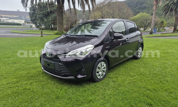 Buy Used Toyota Vitz Black Car in Nairobi in Nairobi