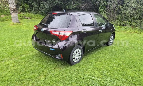 Buy Used Toyota Vitz Black Car in Nairobi in Nairobi Buy Used Toyota Vitz Black Car in Nairobi in Nairobi