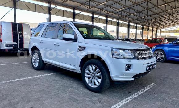 Buy Used Land Rover Freelander White Car in Nairobi in Nairobi