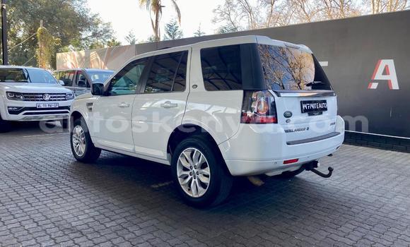 Buy Used Land Rover Freelander White Car in Nairobi in Nairobi Buy Used Land Rover Freelander White Car in Nairobi in Nairobi