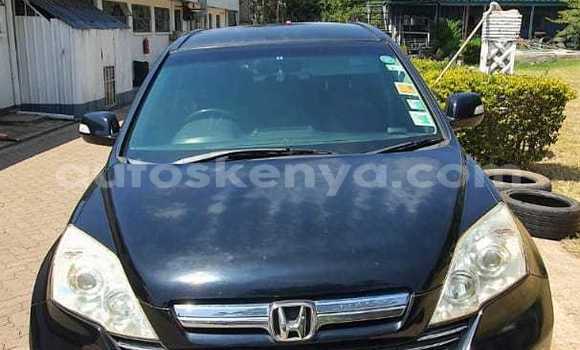 Buy Used Honda CR–V Black Car in Nairobi in Nairobi