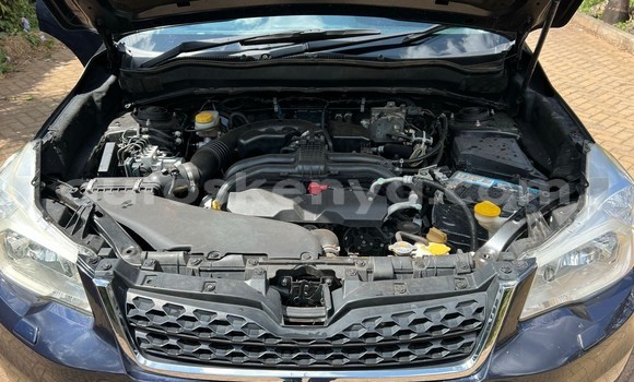Buy Used Subaru Forester Blue Car in Nairobi in Nairobi
