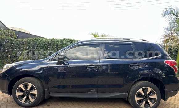 Buy Used Subaru Forester Blue Car in Nairobi in Nairobi Buy Used Subaru Forester Blue Car in Nairobi in Nairobi