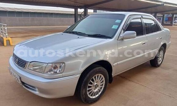 Buy Used Toyota Corolla II Silver Car in Machakos in Nairobi Buy Used Toyota Corolla II Silver Car in Machakos in Nairobi