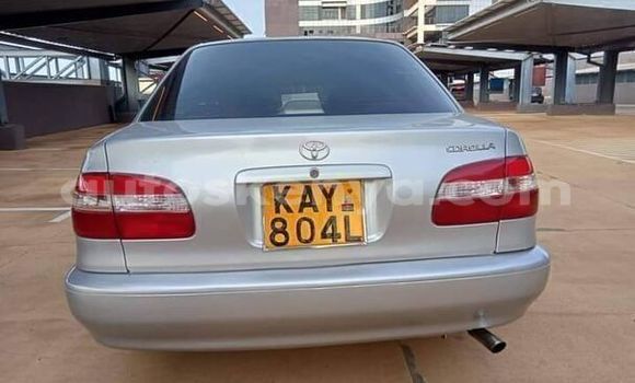 Buy Used Toyota Corolla II Silver Car in Machakos in Nairobi Buy Used Toyota Corolla II Silver Car in Machakos in Nairobi